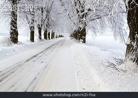 
                Weg, Winterlandschaft, Frost                   