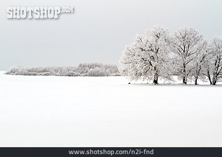 
                Winterlandschaft, Brandenburg                   