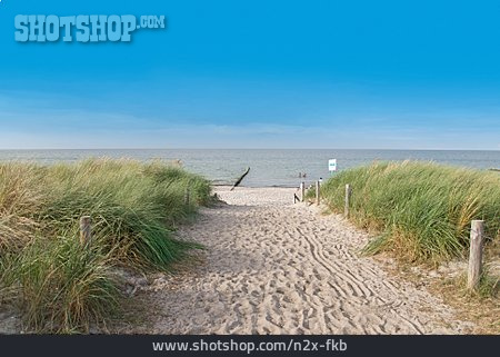 
                Strand, Ostsee, Strandzugang                   