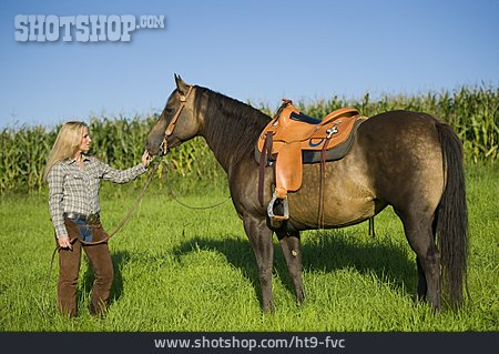
                Pferd, Reiterin, Westernreiten                   