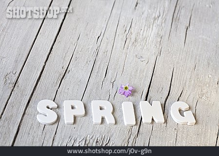 
                Frühling, Wort, Spring                   