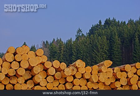 
                Holzstapel, Abholzung, Forstwirtschaft                   