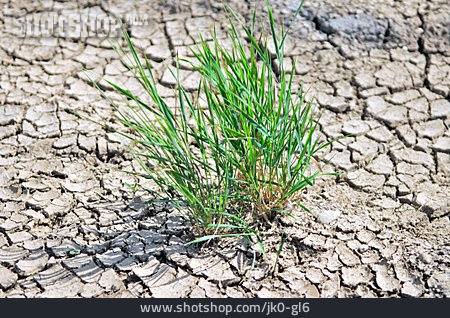 
                Erde, Gras, Trockenheit                   