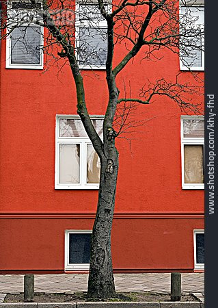 
                Baum, Haus, Fassade                   