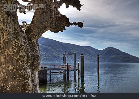 
                Lago Maggiore, Anlegesteg                   
