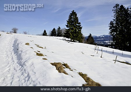 
                Weide, Allgäu, Schnee, Niedersonthofen                   