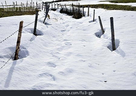 
                Schnee, Weidezaun                   