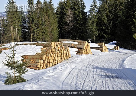 
                Holz, Holzstapel, Forstwirtschaft                   