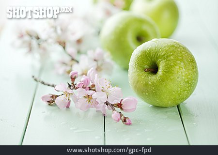
                Blüte, Apfel, Apfelblüte                   
