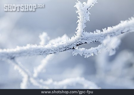
                Zweig, Schnee, Eiskristalle                   