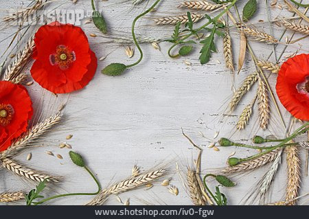 
                Getreide, Rahmen, Klatschmohn, Roggen, Vintage                   