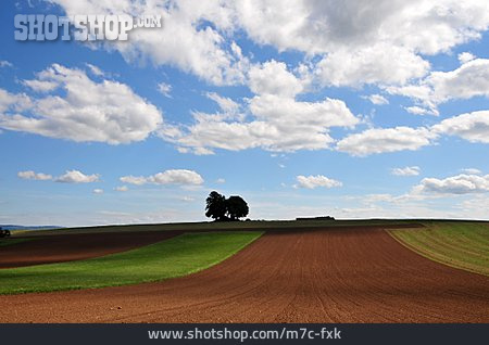 
                Landschaft, Acker, Landwirtschaft                   