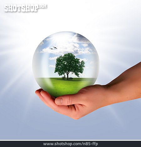 
                Umweltschutz, Hand, ökologie, Zukunft                   