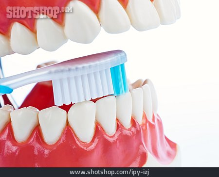 
                Zahnbürste, Zähne Putzen, Mundhygiene, Zahnhygiene                   