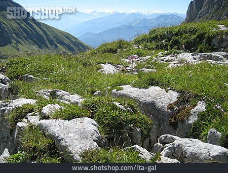 
                Rofan, Brandenberger Alpen                   