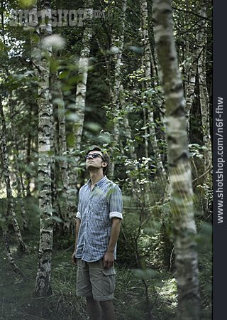 
                Junger Mann, Birkenwald, Waldspaziergang                   
