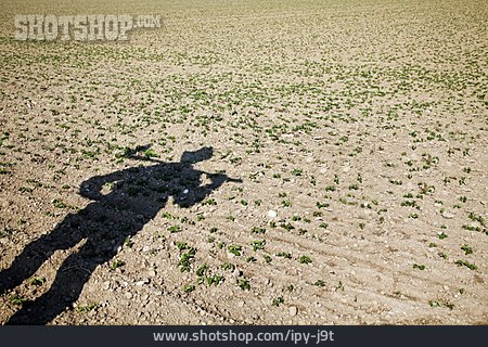 
                Schatten, Feldarbeit, Landwirt, Anbau                   