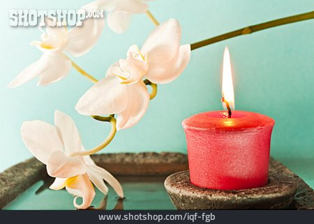 
                Kerze, Stillleben, Orchidee                   