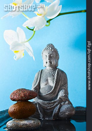 
                Stillleben, Meditation, Buddha                   