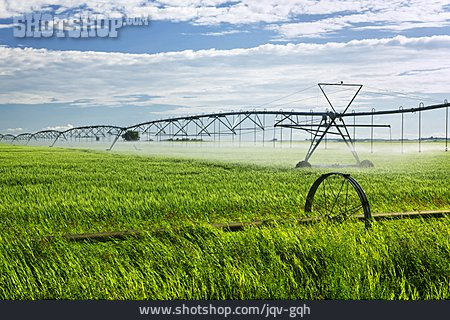 
                Feld, Landwirtschaft, Bewässerung, Sprinkleranlage                   