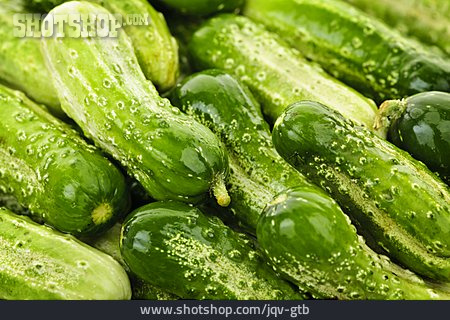 
                Cucumber, Pickle                   