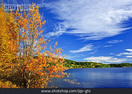 
                Kanada, Herbstlich, Algonquin Park                   