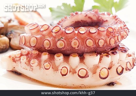 
                Oktopus                   