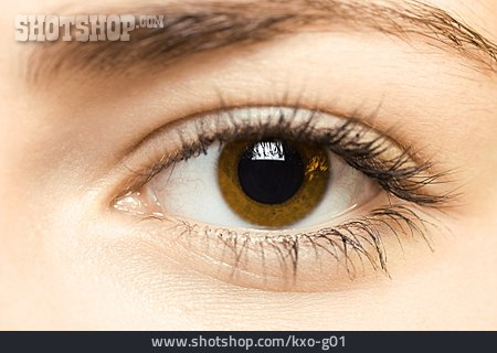 
                Auge, Braune Augen, Frauenauge                   