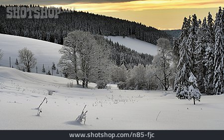 
                Winterlandschaft, Schwarzwald, Verschneit                   