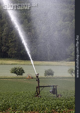 
                Landwirtschaft, Bewässerung                   