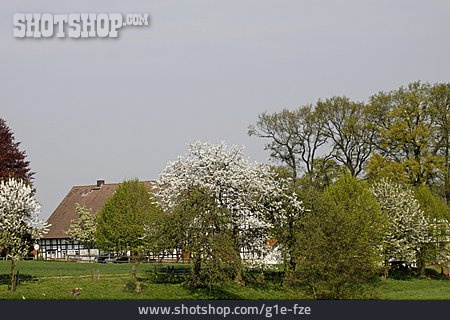 
                Bauernhof, Osnabrücker Land                   