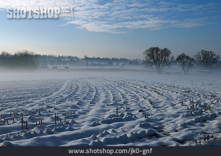 
                Feld, Winter, Winterlandschaft                   