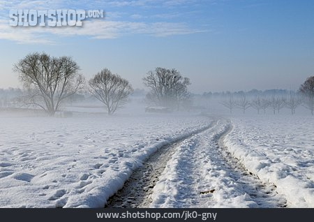 
                Winter, Winterlandschaft, Reifenspur                   
