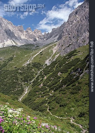 
                Tal, Tirol, Lechtaler Alpen                   