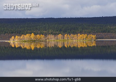 
                See, Herbst, Schweden, Birkenwald                   