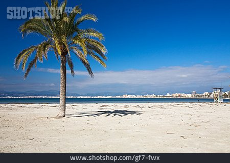
                Palme, Mallorca                   
