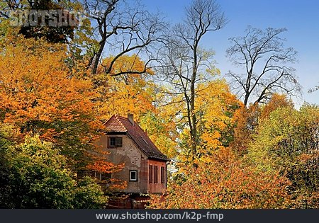 
                Wald, Herbst, Haus                   