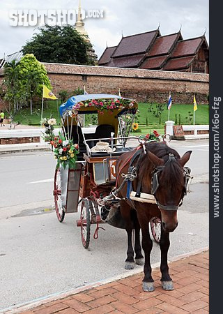 
                Chiang Mai, Nordthailand, Pferdekutsche                   
