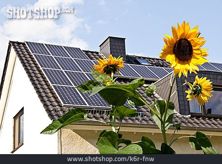 
                Sonnenblume, Alternative Energie, Photovoltaik, Sonnenenergie                   