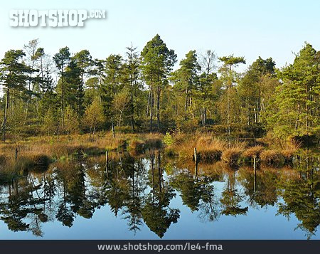 
                Naturschutzgebiet, Hochmoor, Moorlandschaft                   