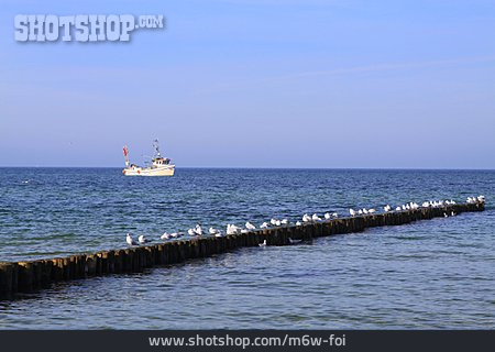 
                Ostsee, Fischerboot, Buhne                   