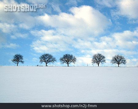 
                Baum, Winterlandschaft, Verschneit                   