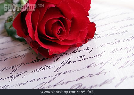 
                Romantik, Liebesbrief, Rote Rose                   
