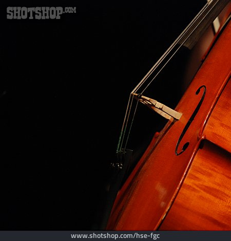 
                Streichinstrument, Klassische Musik, Saiteninstrument, Cello, Violoncello                   