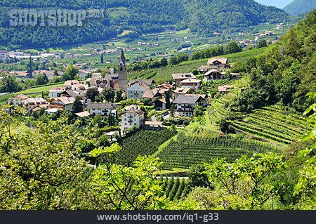 
                Südtirol, Weinlandschaft, Etschtal                   