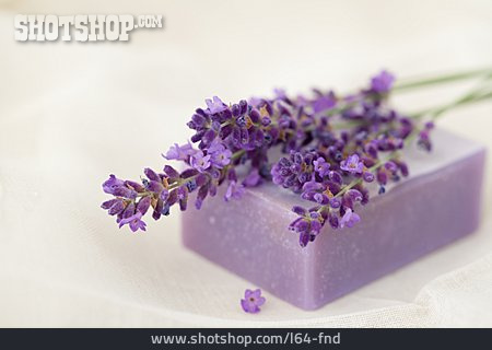
                Aromatherapy, Lavender Soap                   
