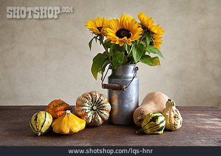 
                Sonnenblume, Zierkürbis, Herbstdekoration                   