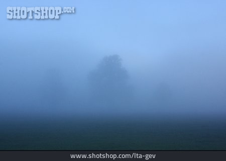 
                Nebel, Diesig                   