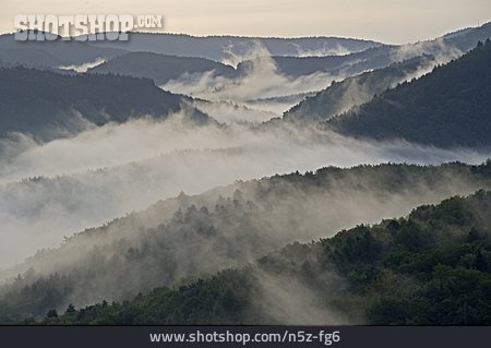 
                Nebel, Pfalz, Mittelgebirge, Frühnebel, Wasgau                   