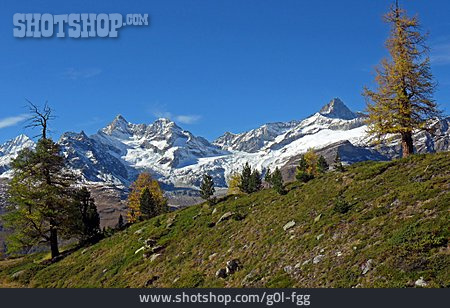 
                Schweiz, Walliser Alpen                   